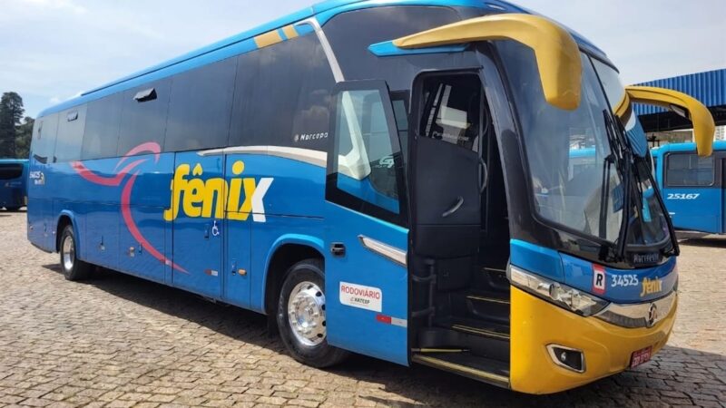 Scania K310 - New G7 Paradiso 1050